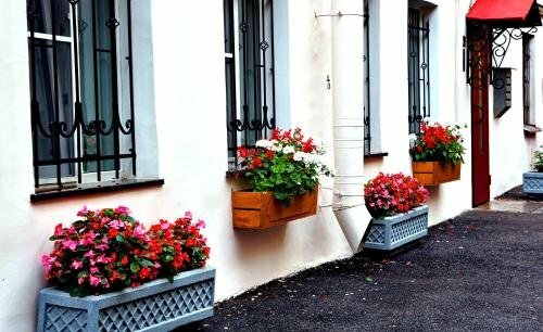 Мини-отель У Львиного моста Санкт-Петербург-6